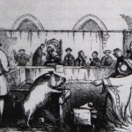 Trial_of_Pig